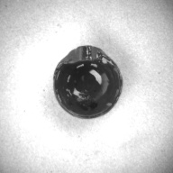幅：2.2 (cm)×奥行：2.3 (cm)×高さ：1.7 (cm)／4 (g)，撮影・計測日：1996-08-06