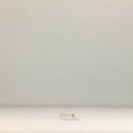 幅：0.8 (cm)×奥行：38 (cm)×高さ：0.6 (cm)／42 (g)，撮影・計測日：1996-08-20