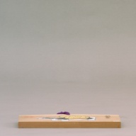 幅：18 (cm)×奥行：12 (cm)×高さ：1.1 (cm)／132 (g)，撮影・計測日：2002-05-31