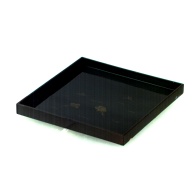 幅：35 (cm)×奥行：36 (cm)×高さ：3.3 (cm)／500 (g)，撮影・計測日：1990-05-08