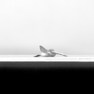 幅：0.9 (cm)×奥行：33 (cm)×高さ：4.9 (cm)／5 (g)，撮影・計測日：1992-12-10