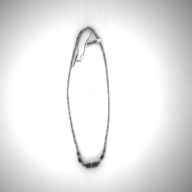 幅：0.9 (cm)×奥行：28 (cm)×高さ：0.9 (cm)／10 (g)，撮影・計測日：1996-08-13