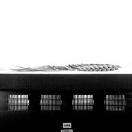 幅：10 (cm)×奥行：103 (cm)×高さ：7.2 (cm)／484 (g)，撮影・計測日：1992-12-15