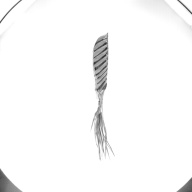 幅：10 (cm)×奥行：103 (cm)×高さ：7.2 (cm)／484 (g)，撮影・計測日：1992-12-15