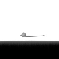 幅：15 (cm)×奥行：30 (cm)×高さ：2.7 (cm)／86 (g)，撮影・計測日：1991-07-26