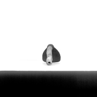 幅：17 (cm)×奥行：73 (cm)×高さ：20 (cm)／1.22 (kg)，撮影・計測日：1991-08-06