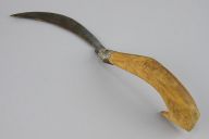 撮影・計測日：2015-09-29