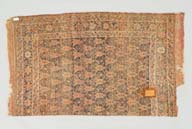 横：170 (cm)×縦：96 (cm)／2.6 (kg)，撮影・計測日：2009-10-01