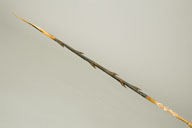 幅：1.3 (cm)×厚み：1.2 (cm)×長さ：161 (cm)／56 (g)，撮影・計測日：2007-09-05