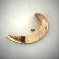 幅：6.0 (cm)×奥行：10 (cm)×高さ：1.4 (cm)／26 (g)，撮影・計測日：1994-02-09