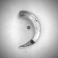 幅：6.0 (cm)×奥行：10 (cm)×高さ：1.4 (cm)／26 (g)，撮影・計測日：1994-02-09