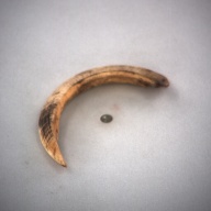 幅：5.7 (cm)×奥行：11 (cm)×高さ：1.4 (cm)／31 (g)，撮影・計測日：1994-02-14