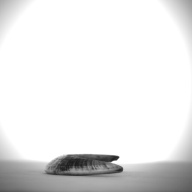 幅：5.7 (cm)×奥行：11 (cm)×高さ：1.4 (cm)／31 (g)，撮影・計測日：1994-02-14