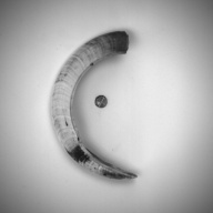 幅：5.9 (cm)×奥行：10 (cm)×高さ：1.4 (cm)／29 (g)，撮影・計測日：1994-02-16