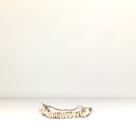 幅：20 (cm)×奥行：42 (cm)×高さ：2.2 (cm)／120 (g)，撮影・計測日：1994-09-07