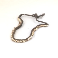 幅：23 (cm)×奥行：34 (cm)×高さ：1.5 (cm)／125 (g)，撮影・計測日：1994-09-06