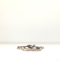 幅：23 (cm)×奥行：34 (cm)×高さ：1.5 (cm)／125 (g)，撮影・計測日：1994-09-06