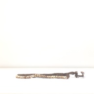 幅：23 (cm)×奥行：34 (cm)×高さ：1.5 (cm)／125 (g)，撮影・計測日：1994-09-06