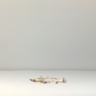 幅：5.0 (cm)×奥行：37 (cm)×高さ：1.1 (cm)，撮影・計測日：1994-10-31