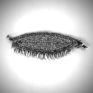 幅：29 (cm)×奥行：8.9 (cm)×高さ：2.3 (cm)／75 (g)，撮影・計測日：1994-02-22