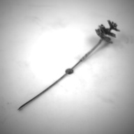 幅：2.5 (cm)×奥行：17 (cm)×高さ：2.6 (cm)／11 (g)，撮影・計測日：1994-03-04