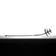 幅：2.5 (cm)×奥行：17 (cm)×高さ：2.6 (cm)／11 (g)，撮影・計測日：1994-03-04