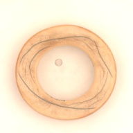 幅：10 (cm)×奥行：10 (cm)×高さ：2.4 (cm)／23 (g)，撮影・計測日：2001-12-27