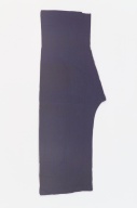 横：58 (cm)×縦：109 (cm)／263 (g)，撮影・計測日：2005-11-18
