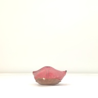 幅：12 (cm)×奥行：26 (cm)×高さ：6.6 (cm)／116 (g)，撮影・計測日：1996-10-30