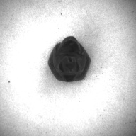 幅：1.8 (cm)×奥行：1.7 (cm)×高さ：2.8 (cm)／34 (g)，撮影・計測日：1996-12-27