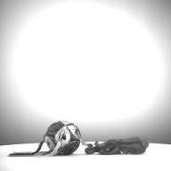 幅：7.3 (cm)×奥行：7.3 (cm)×高さ：7.3 (cm)／61 (g)，撮影・計測日：1997-10-22