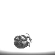 幅：1.3 (cm)×奥行：2.5 (cm)×高さ：1.4 (cm)／3 (g)，撮影・計測日：1996-12-27