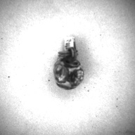 幅：1.4 (cm)×奥行：2.4 (cm)×高さ：1.3 (cm)／4 (g)，撮影・計測日：1996-12-27