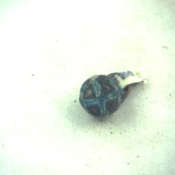 幅：1.3 (cm)×奥行：2.3 (cm)×高さ：1.2 (cm)／3 (g)，撮影・計測日：1996-12-27