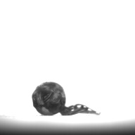 幅：1.3 (cm)×奥行：2.3 (cm)×高さ：1.2 (cm)／3 (g)，撮影・計測日：1996-12-27