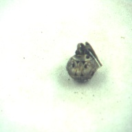 幅：1.3 (cm)×奥行：2.2 (cm)×高さ：1.2 (cm)／3 (g)，撮影・計測日：1996-12-27