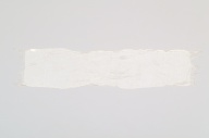 横：189 (cm)×縦：42 (cm)／27 (g)，撮影・計測日：2005-10-31