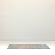 幅：67 (cm)×奥行：61 (cm)×高さ：0.8 (cm)／1.05 (kg)，撮影・計測日：1996-06-19