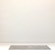 幅：68 (cm)×奥行：67 (cm)×高さ：1.9 (cm)／1.32 (kg)，撮影・計測日：1996-06-18