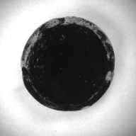 幅：13 (cm)×奥行：13 (cm)×高さ：3.1 (cm)／303 (g)，撮影・計測日：1996-12-24