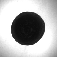 幅：11 (cm)×奥行：11 (cm)×高さ：13 (cm)／298 (g)，撮影・計測日：1997-01-06