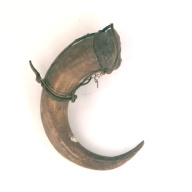 幅：18 (cm)×奥行：25 (cm)×高さ：11 (cm)／243 (g)，撮影・計測日：1996-12-26