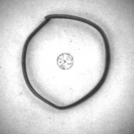 幅：0.2 (cm)×奥行：4.8 (cm)×高さ：0.2 (cm)／8 (g)，撮影・計測日：1997-01-16