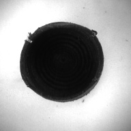 幅：13 (cm)×奥行：13 (cm)×高さ：11 (cm)／105 (g)，撮影・計測日：1996-12-24