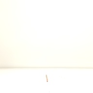 幅：0.8 (cm)×奥行：51 (cm)×高さ：2.3 (cm)／67 (g)，撮影・計測日：1997-01-31