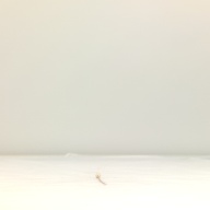 幅：0.6 (cm)×奥行：25 (cm)×高さ：0.7 (cm)／3 (g)，撮影・計測日：1997-03-05