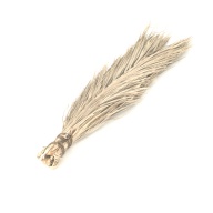 幅：17 (cm)×奥行：72 (cm)×高さ：3.9 (cm)／270 (g)，撮影・計測日：1997-02-17