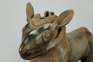 撮影・計測日：2014-10-24