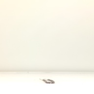 幅：0.6 (cm)×奥行：25 (cm)×高さ：0.5 (cm)／25 (g)，撮影・計測日：1997-04-30