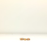 幅：1.1 (cm)×奥行：20 (cm)×高さ：1.0 (cm)／20 (g)，撮影・計測日：1997-04-30